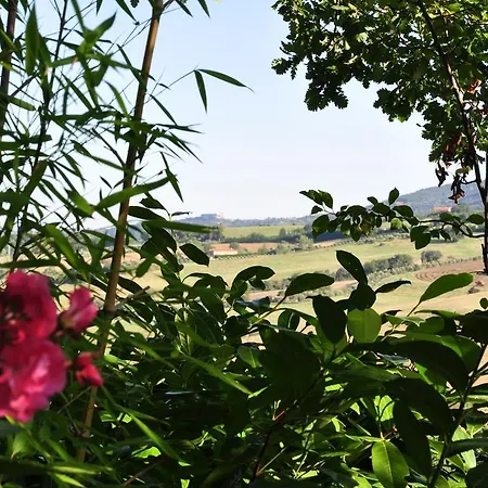 Firenze Hotel