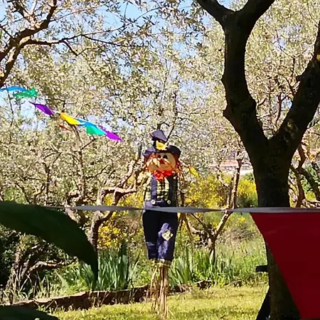 Firenze Chianciano Terme