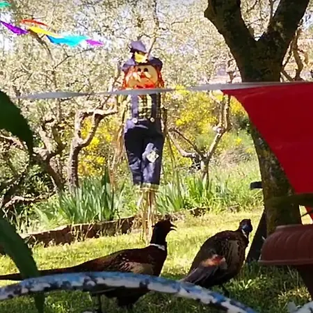 Hotel Firenze Chianciano Terme