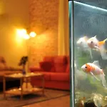 Hotel Firenze Chianciano Terme