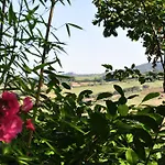 Firenze Hotel